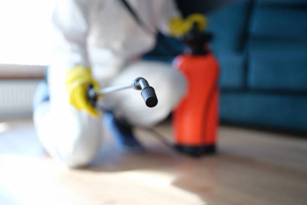 Mold Remediation for Rental Properties in Limon, CO